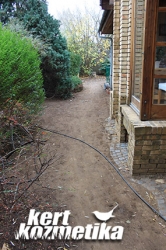 Oldalkert kitisztítása (3)